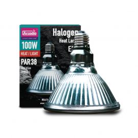 [R2100165] Arcadia Halogen basking spot 100 watt