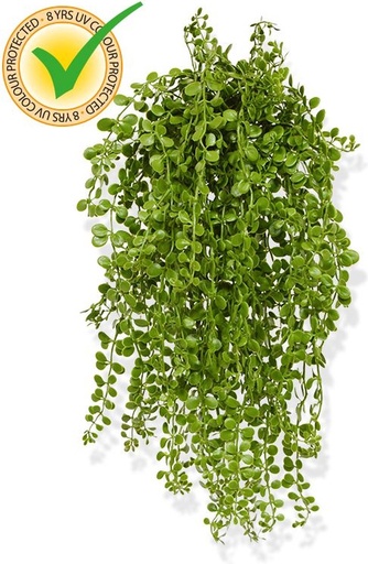 [203904UV] Dischidia kunst hangplant 40cm - UV bestendig