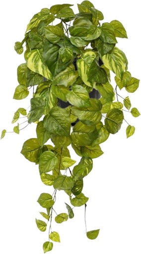 [208305] Pothos kunst hangplant 55cm - bont