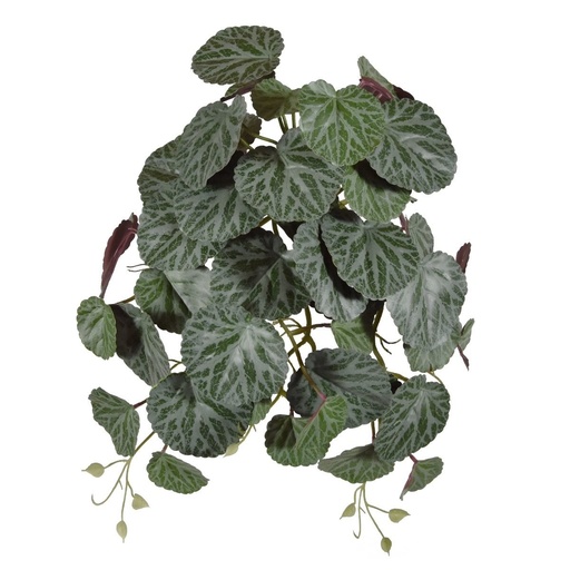 [207703] Saxifraga kunst hangplant 45cm - groen/rood