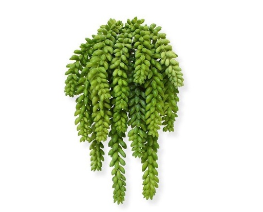 [401802] Sedum Donkey tail kunstplant 30cm