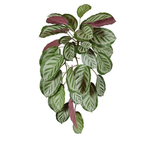 [206706] Calathea red Roseopicta kunst hangplant 70cm