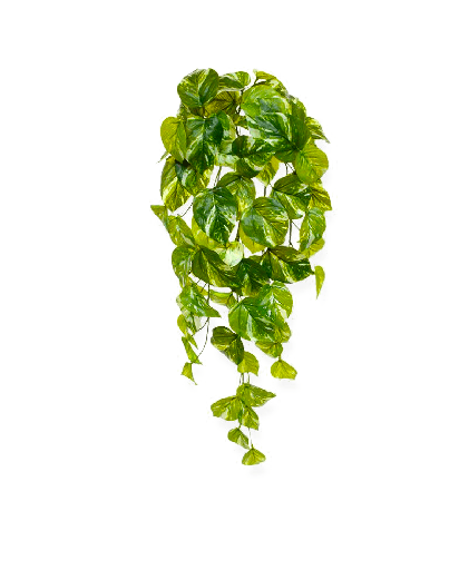 [202306] Pothos kunst hangplant 60cm