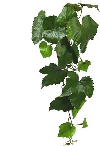 [201006FR] Kunst Druiventak 65cm