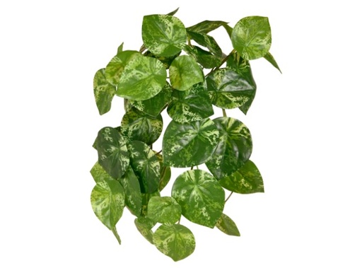 [211203] Pilea Peperomiodes kunst hangplant Bont 30 cm