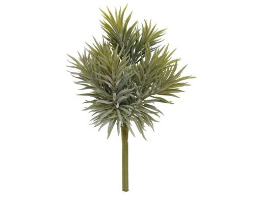 [404003] Peperomia Happy Bean boeket