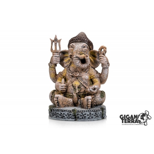 [G04-00631] Giganaqua Ganesh